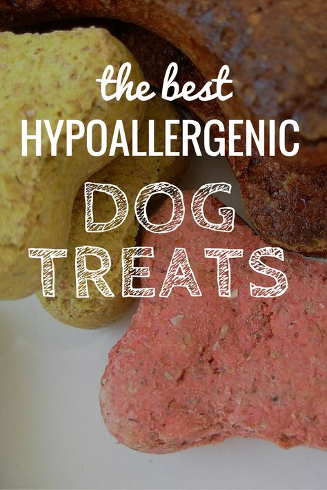 Dog Treats For Allergies, Pork Ribs Crockpot, Boneless Pork Ribs Crockpot, Ribs Crockpot, Dog Treats For Training, Dog Training Treats Recipe, Best Hypoallergenic Dogs, Hypoallergenic Dog Treats, Boneless Pork Ribs