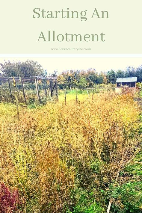 No Dig Allotment Uk, Allotment Flowers, Allotment Hacks, Allotment Design Ideas, Allotment Ideas Inspiration Uk, Allotments Ideas, Allotment Layout, Allotment Ideas Budget, Allotment Ideas