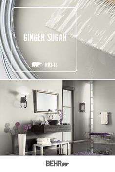 GInger Sugar by Behr Light Granite, Behr Paint Colors, Behr Paint, Interior Paint Colors, Bedroom Paint, Modern Flower, Paint Colors For Home, Room Paint, New Wall