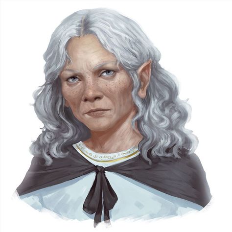 Dnd Elves, Demon Lord, Forgotten Realms, Fantasy Portraits, Fantasy Races, Dungeons And Dragons Characters, Dnd Art, Female Portraits, Old Woman