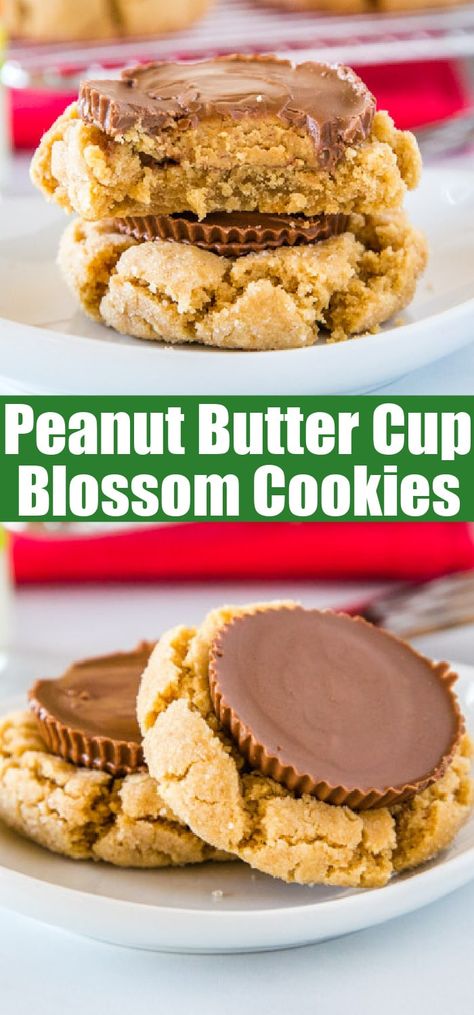 Peanut Butter Cup Blossom Cookies, Peanut Butter Recess Cup Cookies, Reese’s Cup Stuffed Peanut Butter Blossom Cookies, Resses Peanut Butter Cups, Reese's Peanut Butter Cup Cookies, Peanut Blossom Cookies, Classic Christmas Cookies, Xmas Goodies, Fun Drink Recipe