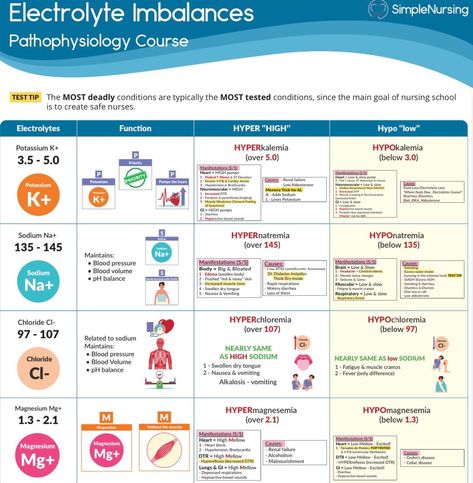 Ascp Exam, Electrolytes Nursing, Nclex Notes, Exam Help, Nursing School Prep, Simple Nursing, Electrolyte Balance, Medical Assistant Student, Nurse Study