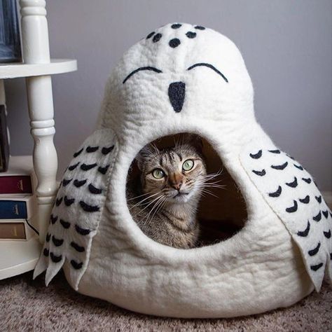 GIVEAWAY ALERT - Cat Cave Snow Owl #Cats #Giveaway #SnowOwl One of our cat cave favorite brands is Dharma Dog Karma Cat. We love these feline nests because they are handmade with lanolin oil. Cat Lover Birthday, Owl Cat, Snow Owl, Dog Beds For Small Dogs, Cat Cave, Owl Pet, Wood Cat, Felt Cat, Pet Paws