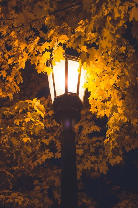 Light Post Wallpaper, Lamp Post Aesthetic, Lamp Post Painting, Street Lamp Wallpaper Iphone, Lamp Post Photography, Street Lamp Wallpaper, Street Lamp Aesthetic, Night Lamp Post Wallpaper, Street Lamp Photography