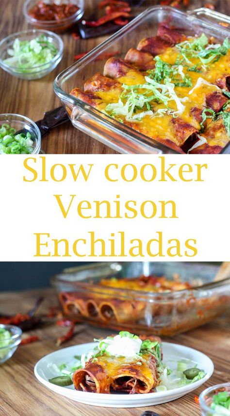 venison enchiladas in glass dish. Venison Enchiladas, Authentic Red Enchilada Sauce, Mexican Food Recipes Enchiladas, Slow Cooker Venison, Venison Roast, Mexican Chicken Recipes, Red Enchilada Sauce, Venison Recipes, Mexican Food Recipes Easy