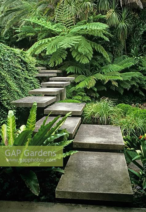 Modern Gardens, Ferns Garden, Tropical Garden Design, Garden Stairs, Australian Garden, Tropical Gardens, Landscaping Garden, Garden Steps, Concrete Steps