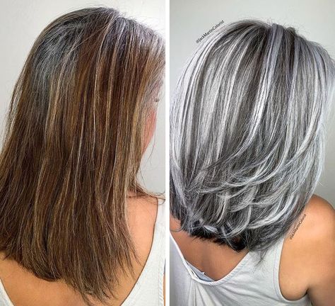 Blond Cenușiu, Jack Martin, Grey Hair Transformation, Long White Hair, Gorgeous Gray Hair, Grey Hair Inspiration, Silver Highlights, Gray Hair Growing Out, Silver Hair Color