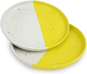 Amazon.com: roro Handmade Ceramic Appetizer Plates Set of 2-7 inch Speckled White & Lemon Yellow Plates- Ideal for Tapas, Sushi, Citrus Desserts - Lead-Free, Cadmium-Free - Microwave & Dishwasher Safe : Home & Kitchen Speckled Plates, Colorful Dishware, Yellow Restaurant, Citrus Desserts, Appetizer Plates Set, Yellow Plates, Bistro Style, Fish Plate, Mediterranean Dishes