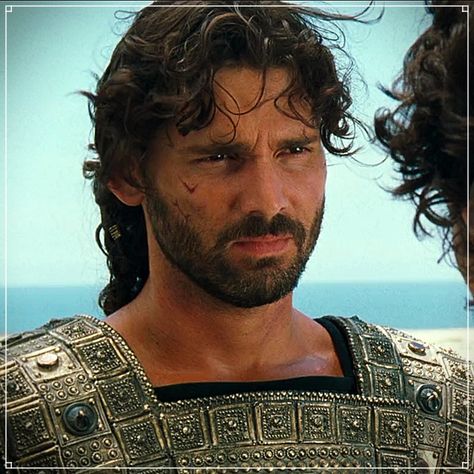 Eric Bana Troy, Hector Of Troy, Hector Troy, Troy Movie, Handsome Gentleman, Character Reference Sheet, Eric Bana, Men's Facial Hair, Mens Facial Hair Styles