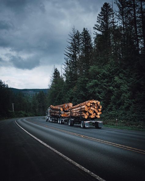 Logging Aesthetic, Log Truck, Logging Trucks, Wood Forest, Wood Logs, Bachelor Pad, Country Side, Happy Labor Day, Labour Day