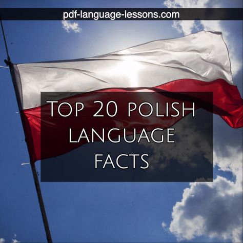 Polish Basic Words, Polish Words Tattoo, Polish Phrases, Learning Polish, Slavic Languages, Language Facts, Poland Language, Polish Tattoos, Learn Polish