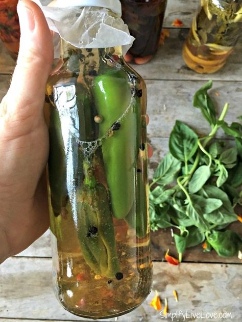 homemade Gourmet Hot Pepper Vinegar Hot Pepper Vinegar Recipes, Pepper Vinegar Recipes, Hot Vinegar, Pepper Sauce Recipe Vinegar, Hot Pepper Infused Olive Oil, Making Flavored Vinegars, Pinakurat Vinegar Recipe, Thai Peppers, How To Make Vinegar