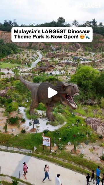 Cafe Inside, Dinosaur Theme Park, Themed Playground, Dino Park, Dinosaur Park, Largest Dinosaur, Dinosaur Theme, Senior Citizen, Now Open