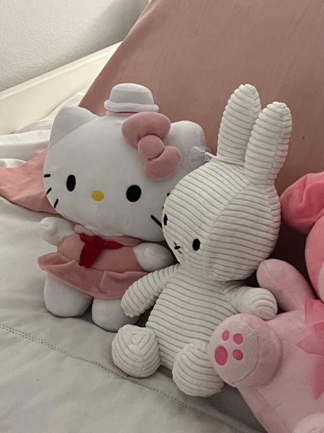 Bed Plushies, Soft Pink Theme, Cute Bear Drawings, Baby Pink Aesthetic, Teddy Toys, Teddy Bear Stuffed Animal, Kawaii Plushies, Hello Kitty My Melody, My Bed