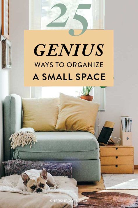 How To Organize A Small Studio Apartment, Storage Ideas For Small Flats, Storage Ideas Studio Apartment, Small Apartment Functional, Decorating A Small Studio Apartment, Studio Apartment Solutions, Organizing A Studio Apartment, How To Organize Studio Apartment, How To Make Use Of Small Spaces