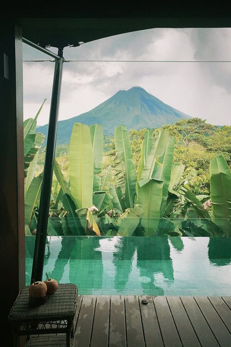 Subtropical Plants, Fortuna Costa Rica, Tented Camp, Arenal Volcano, Volcano National Park, Costa Rica Travel, Spring Resort, Plunge Pool, Outdoor Shower