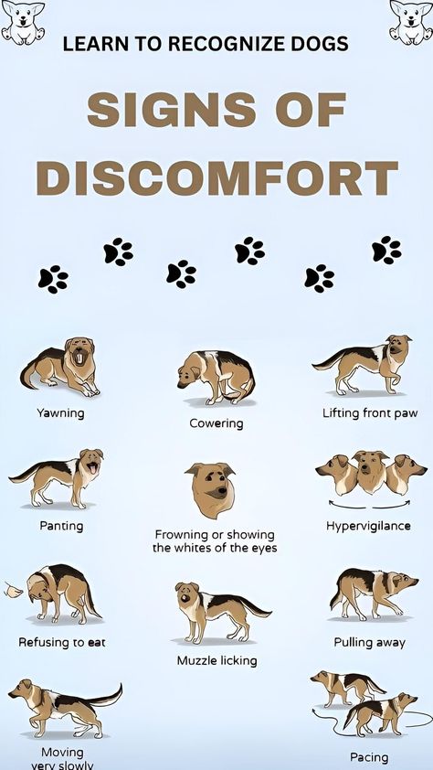 Dog Body Language, Dog Remedies, Dog Advice, Dog Language, Dog Facts, Dog Info, Dog Hacks, Types Of Dogs, Dog Care Tips