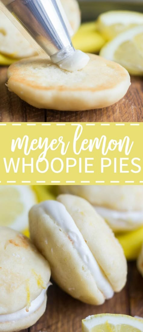 Sweet and tangy, these lemon whoopie pies are a cloud-like dessert you won't want to miss this spring. True to a whoopie pie, these are light and fluffy cake-like cookies surrounded by sweet cream cheese frosting. Perfect for spring celebrations! Lemon Whoopie Pies, Whoopi Pies, Whoopie Pie Recipe, Fluffy Cake, Funnel Cakes, Whoopie Pie, Sweet Cream, Whoopie Pies, Köstliche Desserts