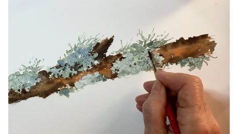 Watercolor Moss Tutorial, Lichen Watercolor, Watercolour Sketchbook Ideas, Lichen Drawing, Amanda Cobbett, Lichen Painting, Lichen Art, Moss Painting, Tree Watercolor Painting