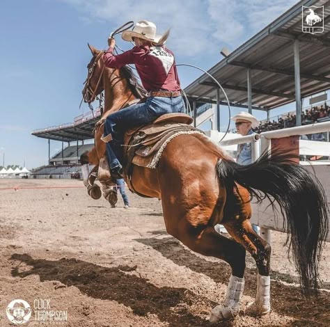 Rodeo Astethic, Horses Barrel Racing, Rodeo Life Aesthetic, Breakaway Roping Aesthetic, Barrel Racing Horses Pictures, Barrel Racer Aesthetic, Western Horse Photography, Barrel Racing Aesthetic, Roping Horses