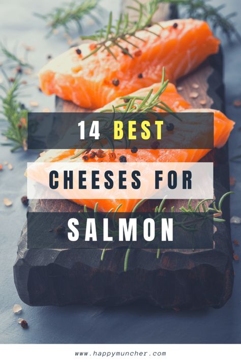 What Cheese Goes Well with Salmon? 14 Best Cheeses – Happy Muncher Sauce For Grilled Salmon, Salmon Pairings, Mustard Sauce For Salmon, Sauces For Salmon, Best Sauces, Creamy Horseradish, Creamy White Wine Sauce, Creamy Horseradish Sauce, Sauce For Salmon