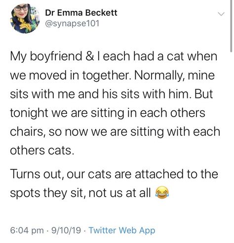 Cat-Related Memes & Posts For The Feline Lovers - Memebase - Funny Memes Cat Tumblr, Wholesome Cat, Funny Tumblr, Cat Things, Cat Stories, Cats Aesthetic, It's Funny, Cats Funny, Cat People