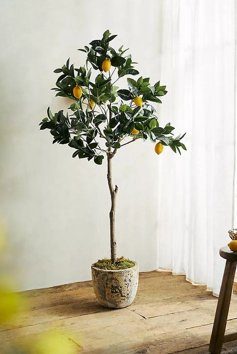 Mini Lemon Tree, Faux Lemon Tree, Lemon Tree Potted, Office Ideas Decor, Neutral Home Office, Neutral Living Room Decor, Fake Lemons, Meyer Lemon Tree, Tree Interior