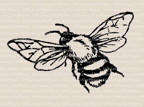 Bumble Bee Images, Bee Clip Art, Bee Images, Bee Drawing, Kunst Tattoos, Bee Illustration, Bee Tattoo, Bee Art, Clip Art Vintage