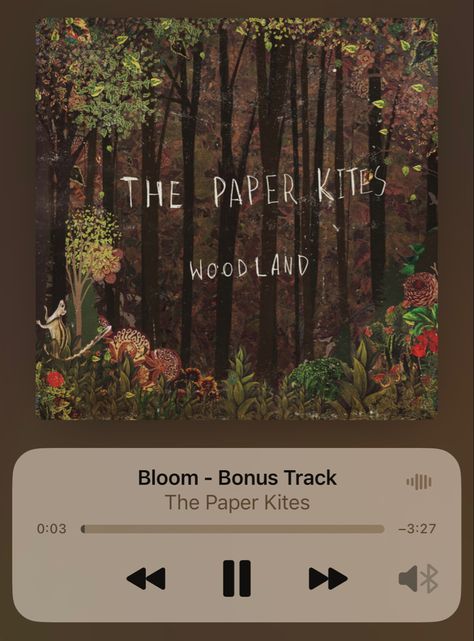 Bloom The Paper Kites, The Paper Kites, Kites, Summer 2023, Wedding Trends, Music