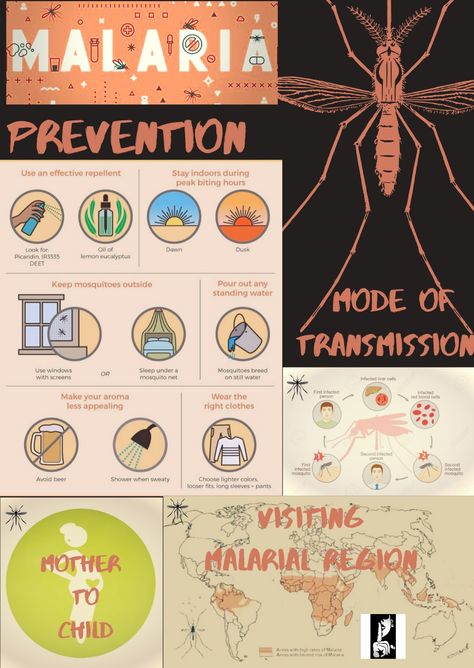 Malaria Prevention, Dawn And Dusk, Study Tips, Repellent, On Instagram, Instagram