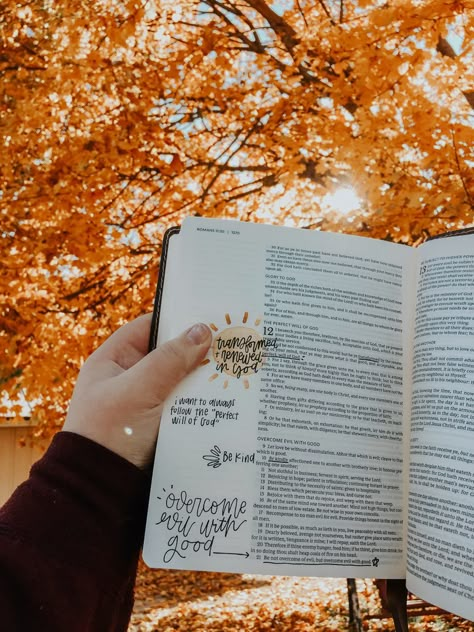 Fall Christian Asthetic, Fall Bible Study Aesthetic, Autumn Bible Study, Autumn Bible Aesthetic, Bible Fall Aesthetic, Jesus Fall Aesthetic, Christian Autumn Aesthetic, Fall Aesthetic Bible Verses, Fall Christian Aesthetic