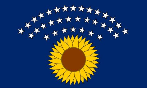 Kansas flag redesign Flag Redesign, Kansas Flag, Us States Flags, U.s. States, State Flags, Kansas, Sci Fi, Flag, Map