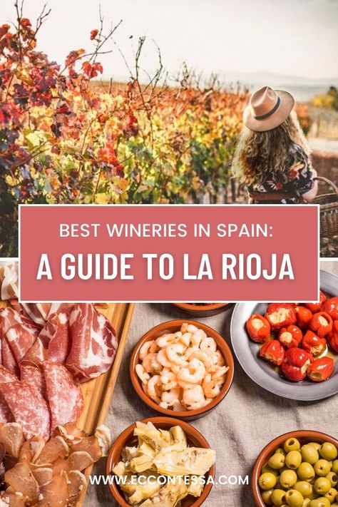 Spanish tapas, Spanish wine, Rioja wine, La Rioja wine region, vineyards, wine, pinchos Spain Wine Regions, Northern Spain Travel, Spain Wine, Travel To Barcelona, Wine Region Map, Rioja Wine, Spain Road Trip, Rioja Spain, Wine Sommelier