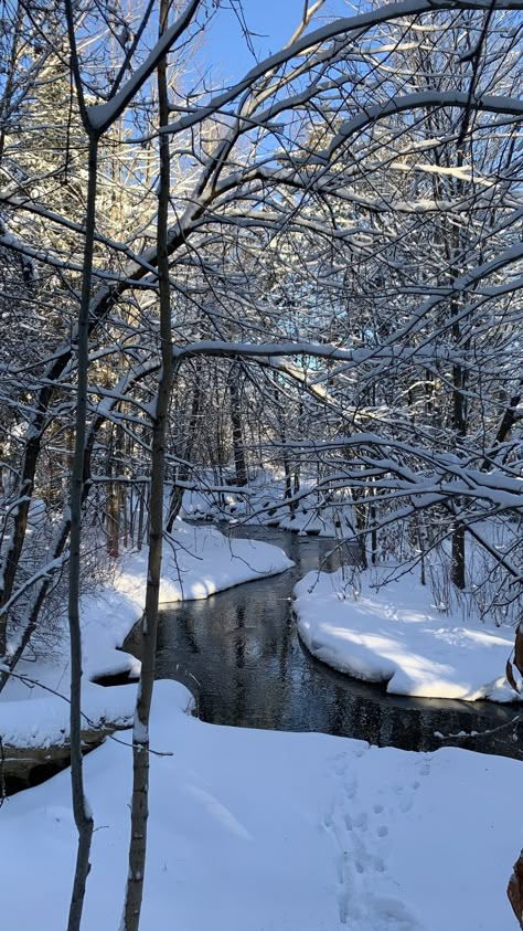 Montreal Canada Aesthetic Winter, Canada Aesthetic Winter, Cozy Scenery, Canadian Aesthetic, January Pictures, Luna Goddess, Beach Landscaping, Canada Snow, Snap Fake