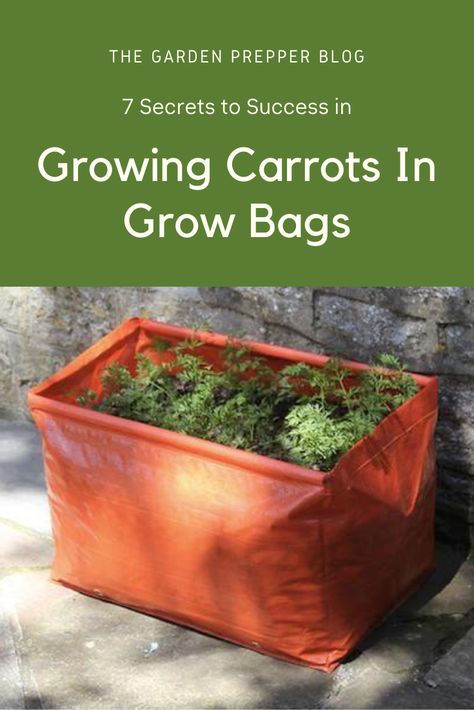 Growing Carrots In Grow Bags, Grow Bags Gardening Ideas, Starting Vegetable Seeds, How To Plant Carrots, Growing Carrots, Garden Bags, Fall Vegetables, Carrot Seeds, Gardening Flowers