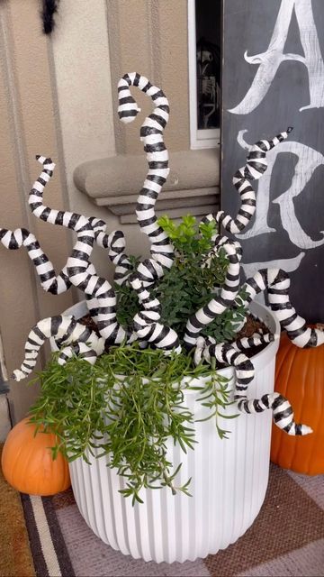 Beetlejuice Porch Decor, Diy Beetlejuice Outdoor Decor, Beetlejuice Snake Diy, Beetlejuice Pumpkin Carving Ideas, Halloween Beetlejuice Decorations, Beetle Juice Door Decorations, Bettle Juice Halloween Decor, Beetlejuice Crafts, Beetlejuice Halloween Decorations