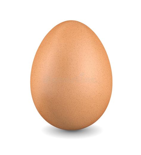 Egg Pic, Egg Reference, Egg Background, White Backround, Brown Egg, Brown Chicken, Egg Pictures, Egg Vector, Cute Egg