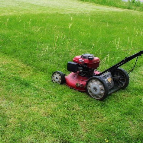 This Is The Worst Time To Mow Your Lawn In Wet Weather — HuffPost Mowing The Lawn Aesthetic, Mowing Lawn, Mowing The Lawn, Lawn Mowing, Jobs For Teens, Wet Weather, Bad Timing, Lawn Mower, Lawn