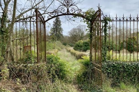 Abandoned Chateau France, Abandoned Chateau, Abandoned Garden, Ancient Monuments, Messy Nessy Chic, Front Gates, Good Bones, Unique Hotels, French Chateau