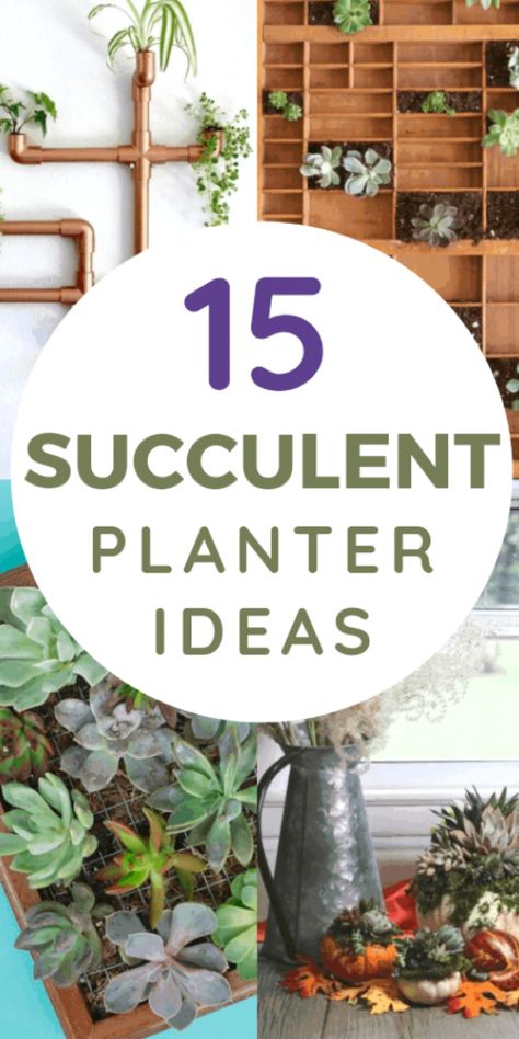 Unique Succulent Planter Ideas, Succulent Planter Ideas, Diy Succulent Planter, Diy Planters Indoor, Indoor Succulent Planter, Wood Succulent Planter, Succulent Wall Planter, Vertical Succulent Gardens, Succulent Planter Diy