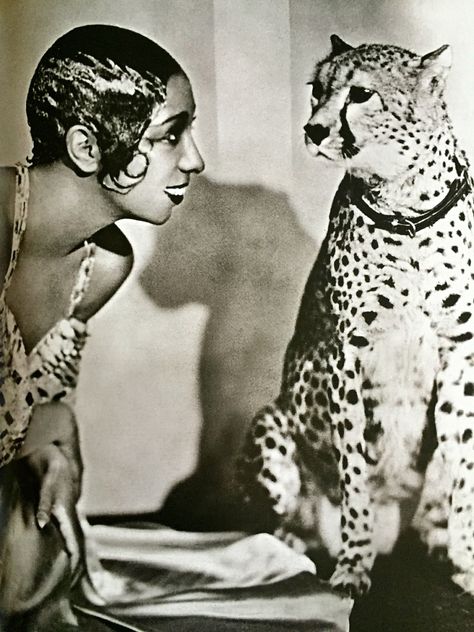 Josephine Baker 1931 with Cartier Panther Burlesque Vintage, Vintage Burlesque, Josephine Baker, Photographie Portrait Inspiration, Vintage Black Glamour, Black Hollywood, African American History, Vintage Glamour, Up Girl