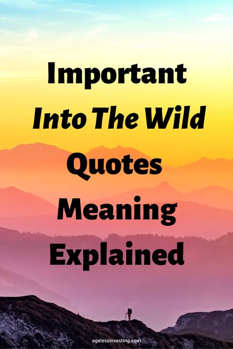 A picture of mountains that look yellow and orange with a person standing on a peak, with the text overlay: "Important Into The Wild Quotes Meaning Explained" Quotes About Wild Animals, Into The Wild Quotes, Into The Wild Movie, Chris Mccandless, Wild Quotes, Wild Movie, Life Challenge, Inspirational Quotes From Books, Quotes From Books