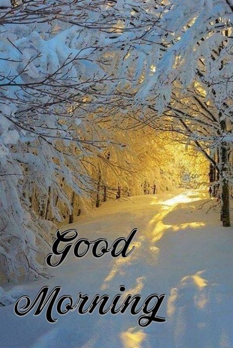 Good Morning January, Good Morning Winter, Morning Pic, Beau Gif, Happy Evening, Love Good Morning Quotes, Good Day Sunshine, Good Morning Flowers Quotes, Good Morning Beautiful Pictures