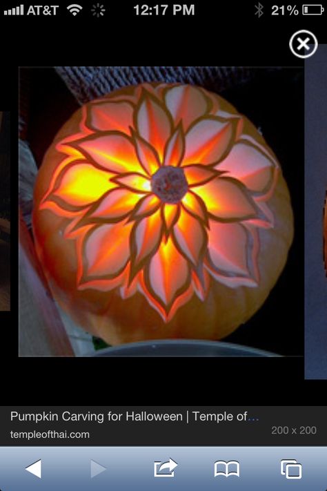 Flower carving pumpkin Flower Jack O Lantern Ideas, Pumpkin Flower Carving, Pumpkin Carving Flower, Floral Pumpkin Carving, Pretty Pumpkin Carving, Sunflower Pumpkin Carving, Flower Pumpkin Carving, 3d Pumpkin Carving, Pumpkin Sculpting