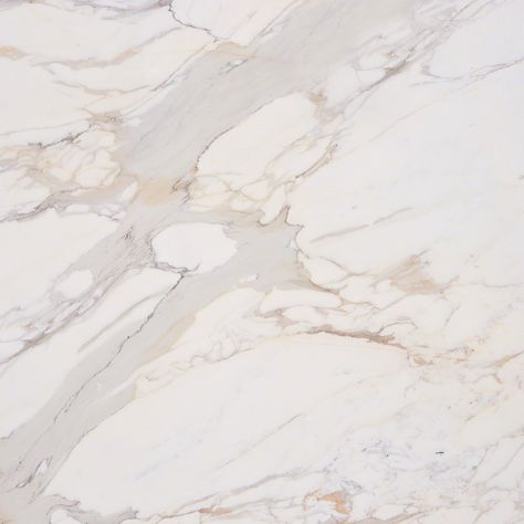 Calacatta Gold Marble Natural Stone Collection | M S International Inc. Calacatta Gold Quartz, Calcutta Gold, Replacing Kitchen Countertops, Gold Tile, Calacatta Gold Marble, White Marble Tiles, Marble Tile Floor, Honed Marble, Wallpaper Red