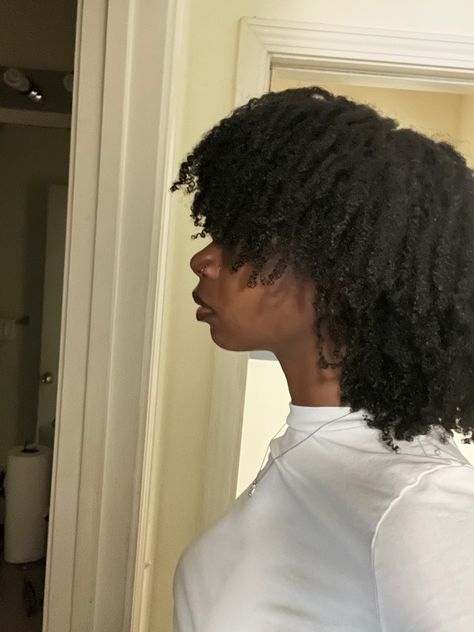 Wash And Go Natural Hair, Type Hairstyles, 4b Hair, Type 4 Hair, 4c Natural Hair, Wash And Go, Coily Hair, Natural Hairstyles, Women Hairstyles