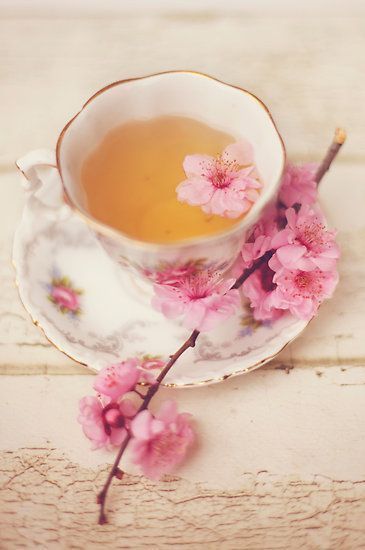 (9) Cherry Blossoms and Tea | {Interior Design} Aqua & Cherry Blossoms Room | Pinterest | The Sweet Shop | Pinterest | ★ Japan & Kawaii Style ★ | Pinterest Bohol, My Cup Of Tea, Tea Cup And Saucer, High Tea, Tea Room, Vintage Tea, Tea Lover, Coffee Time, Drinking Tea