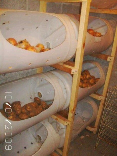 Root cellar storage Root Cellar Storage, Koti Diy, Root Cellar, Vegetable Storage, Homestead Survival, Cold Storage, Emergency Prepping, Off Grid Living, Preserving Food