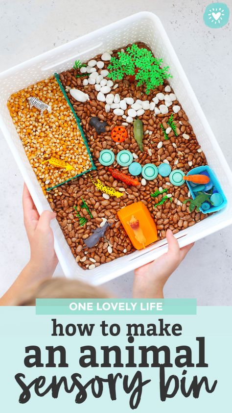 How to Make an Animal Sensory Bin - Sensory play is a GREAT way to engage your kids. Learn how to put together a simple animal sensory bin with household items for HOURS of play! // Sensory bin ideas // jungle sensory bin // zoo sensory bin // safari sensory bin #sensorybin #sensoryplay #kidsactivities #freeplay Zoo Sensory, Animal Sensory Bin, Diy Sensory Bin, Diy Sensory, Food Texture, Bouncy Balls, Engage Kids, Exotic Animals, Body Awareness