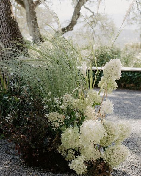 Grounded Florals Ceremony, Grasses Wedding Flowers, Ceremony Meadow, Aisle Arrangements, Wedding Design Board, Wedding Stone, Aisle Flowers, Ceremony Design, Grass Wedding